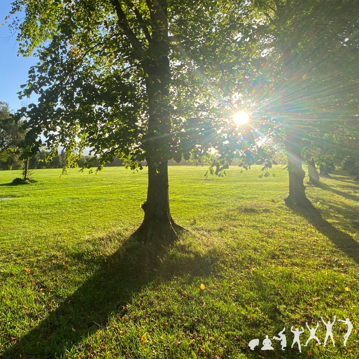 human at large nature as co-coach sun rays through trees parkland late summer